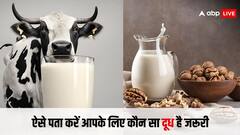गाय-भैंस का दूध या अखरोट या कोकोनट मिल्क, जानिए आपके शरीर के हिसाब से कौन सा दूध आपके लिए सही रहेगा