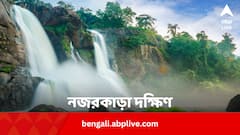 মার্চের ট্রাভেল ডেস্টিনেশন হোক দক্ষিণ ভারত, উইশলিস্টে রাখুন এই ৫ স্থান