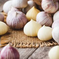 Raw Garlic: ਕੱਚਾ ਲਸਣ ਦੇ ਹਨ ਅਣਗਿਣਤ ਫਾਇਦੇ,  ਖਾਲੀ ਪੇਟ ਖਾਓ ਦੋ ਕਲੀਆਂ