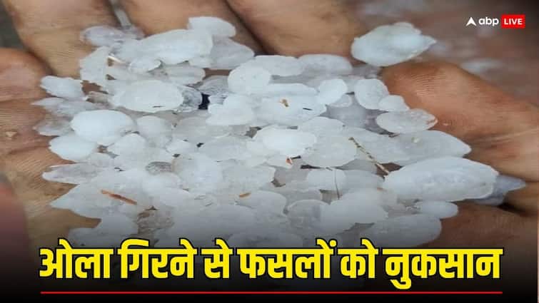 Rajasthan Weather Update Crops damaged due to rain and hailstorm in Kota division ANN Rajasthan Weather: राजस्थान में बदले मौसम ने बढ़ाई किसानों की मुश्किल, बारिश और ओलावृष्टि से फसलों को भारी नुकसान