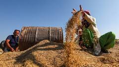 कोरिया में धान केंद्रों की लापरवाही, बारिश से बचने का नहीं कोई इंतजाम, खुले में बर्बाद हो रहा धान