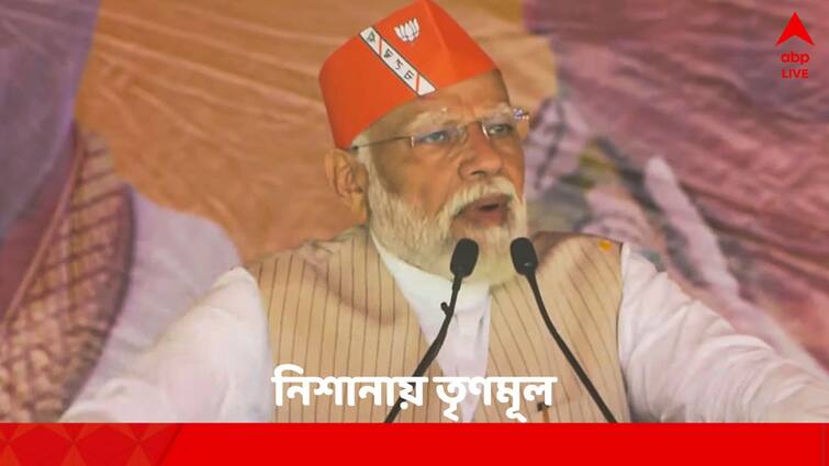 PM Narendra Modi attacks TMC over corruption allegation from Nadia Krishnagar Rally PM Modi: স্কিমকে স্ক্যামে পরিণত করায় মাস্টারি করেছে তৃণমূল, দুর্নীতি ইস্যুতে সুর চড়ালেন মোদি
