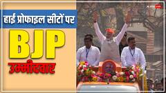 हाई-प्रोफाइल सीटों पर BJP ने किसे दिया मौका, देखें पूरी लिस्ट