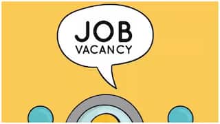 Indian Bank Job: ઇન્ડિયન બેન્કમાં પરીક્ષા વિના ઓફિસર બનવાની તક, જાણો કેટલો મળશે પગાર? Indian Bank Job: ઇન્ડિયન બેન્કમાં પરીક્ષા વિના ઓફિસર બનવાની તક, જાણો કેટલો મળશે પગાર?