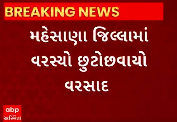 Mehsana Rain | વિવિધ વિસ્તારોમાં વહેલી સવારથી થઈ વરસાદની શરૂઆત, જુઓ દ્રશ્યો