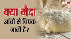 खाने के बाद मैदा आंतों में चिपक जाती है? क्या वाकई में ऐसा होता है, जानें इसकी सच्चाई