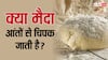 खाने के बाद मैदा आंतों में चिपक जाती है? क्या वाकई में ऐसा होता है, जानें इसकी सच्चाई