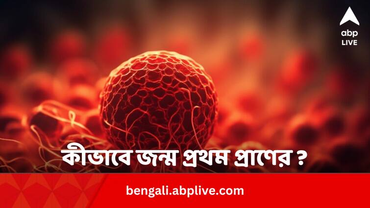 Critical Chemical Responsible For Life Invented By Scientists In Lab Science Update: কীভাবে জন্মেছিল প্রথম প্রাণ ? নেপথ্যের যৌগটির খোঁজ মিলল এবার