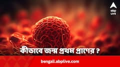 কীভাবে জন্মেছিল প্রথম প্রাণ ? নেপথ্যের যৌগটির খোঁজ মিলল এবার