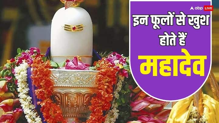 Mahashivratri 2024: महाशिवरात्रि पर शंकर जी को प्रसन्न करने के लिए उपाय, पूजा की जाती है लेकिन कहते हैं इस दिन शिव जी पर उनके प्रिय फूल चढ़ाने से वह भक्त पर कृपा बरसाते हैं और मनोरथ पूरे करते हैं.