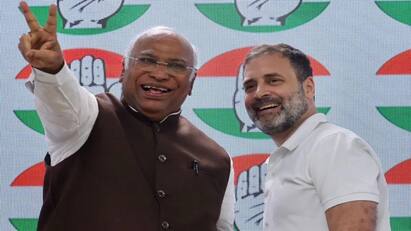 Congress election manifesto to include promises on MSP caste census Congress Manifesto: குறைந்தபட்ச ஆதார விலை முதல் சாதிவாரி கணக்கெடுப்பு வரை தேர்தல் அறிக்கையில் காங்கிரஸ் போடும் மெகா பிளான்!