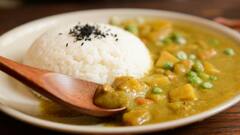 Rice : गरम की थंड कोणता भात खाणे ठरते चांगले !