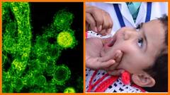 Polio Vaccine: போலியோ நோய்க்கு மருந்தே இல்லை! ஏன் தடுப்பூசி போட வேண்டும்? - ஓர் அலசல்