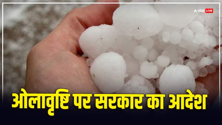 Government order on hail storm in uttar pradesh and haryana read full article here agriculture बारिश और ओलावृष्टि से कहां के किसानों को हुआ सबसे ज्यादा नुकसान? सरकार ने लिया ये एक्शन