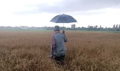 Unseasonal Rain: માવઠાથી ખેડૂતોને મોટું નુકસાન, કોંગ્રેસના પાટણના MLAએ કૃષિ મંત્રીને પત્ર લખી વળતર ચૂકવવા કરી માંગ