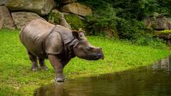 IRCTC Tour: केवल इतने खर्च में असम-मेघालय घूमने का है मौका, IRCTC लाया खास ऑफर!