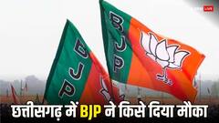 छत्तीसगढ़ में BJP उम्मीदवारों का ऐलान, रेणुका सिंह की सीट की जिम्मेदारी अब इस नेता के हाथ में