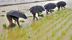 Weather Update: રાજ્યના આ જિલ્લામાં હજુ પડશે કમોસમી વરસાદ, હવામાન વિભાગની આગાહી