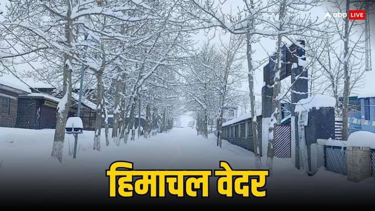Himachal Pradesh Snowfall and Rain Red Alert IMD Update Weather Update Today 3 March Kangra Kullu Ann Himachal Pradesh Snowfall: हिमाचल में भारी बर्फबारी और बारिश का रेड अलर्ट, कई इलाकों से संपर्क कटा, जानें क्या हैं हालात