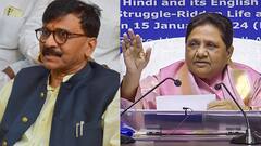 उद्धव गुट के सांसद संजय राउत का मायावती पर बड़ा आरोप, बोले- 'वो बीजेपी की...'