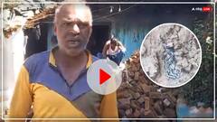 जबलपुर में चींटियों से इतना परेशान हुआ किसान कि तुड़वा दिया अपना घर, अब सरकार से लगाई ये गुहार