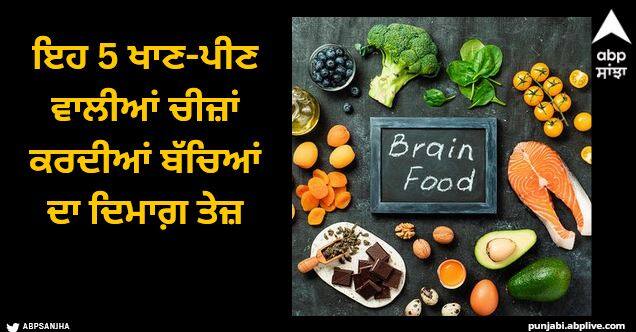 These 5 foods and drinks make the brain of children faster Brain Boosting Foods: ਕੋਈ ਜਮਾਂਦਰੂ ਨਾਲਾਇਕ-ਹੁਸ਼ਿਆਰ ਨਹੀਂ ਹੁੰਦਾ? ਇਹ 5 ਖਾਣ-ਪੀਣ ਵਾਲੀਆਂ ਚੀਜ਼ਾਂ ਕਰਦੀਆਂ ਬੱਚਿਆਂ ਦਾ ਦਿਮਾਗ਼ ਤੇਜ਼