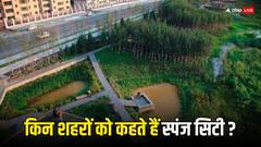 किन शहरों को बोलते हैं स्पंज शहर, जानिए कहीं इसमें आपके शहर का नाम तो नहीं