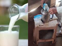 Akola :  तुम्ही पित असलेल्या दूधात होतेय भेसळ? म्हशीच्या दुधात भेसळ, अकोल्यात नागरिकांच्या जीवाशी खेळ