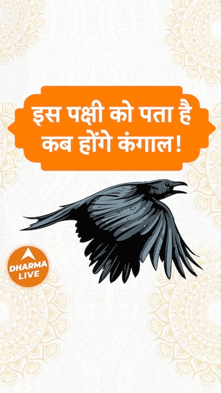 इस पक्षी को पता है कब होंगे कंगाल Dharma Live GurudevGDVashist