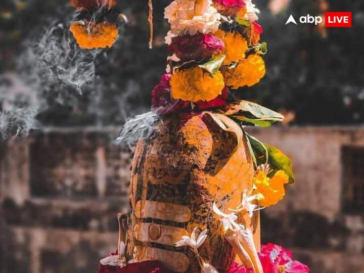 भोलेनाथ की पूजा के लिए महाशिवरात्रि का दिन बहुत खास होता है. इस दिन कुछ विशेष नियमों का पाल कर आप इस दिन को व्रत कर और सफल बना सकते हैं और शिव जी का आशीर्वाद पा सकते हैं.