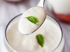 हलवाई जैसा एकदम टाइट दही जमाने के लिए क्या करना होगा? जानिए