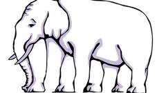 Optical Illusion: इस तस्वीर में हाथी के कितने पैर दिख रहे हैं? पैनी नजर वाले 5 सेकेंड में खोजकर निकालें