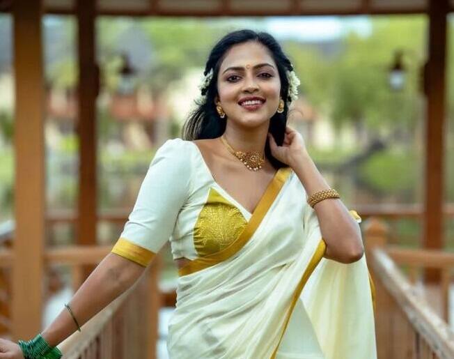 કારકિર્દીની શરૂઆતમાં અમલા પોલે વર્ષ 2011માં 'દેઇવા થિરુમગલ'માં કામ કર્યું હતું. આ સમય દરમિયાન ડિરેક્ટર એએલ વિજય સાથે તેનું અફેર શરૂ થયું હતું.