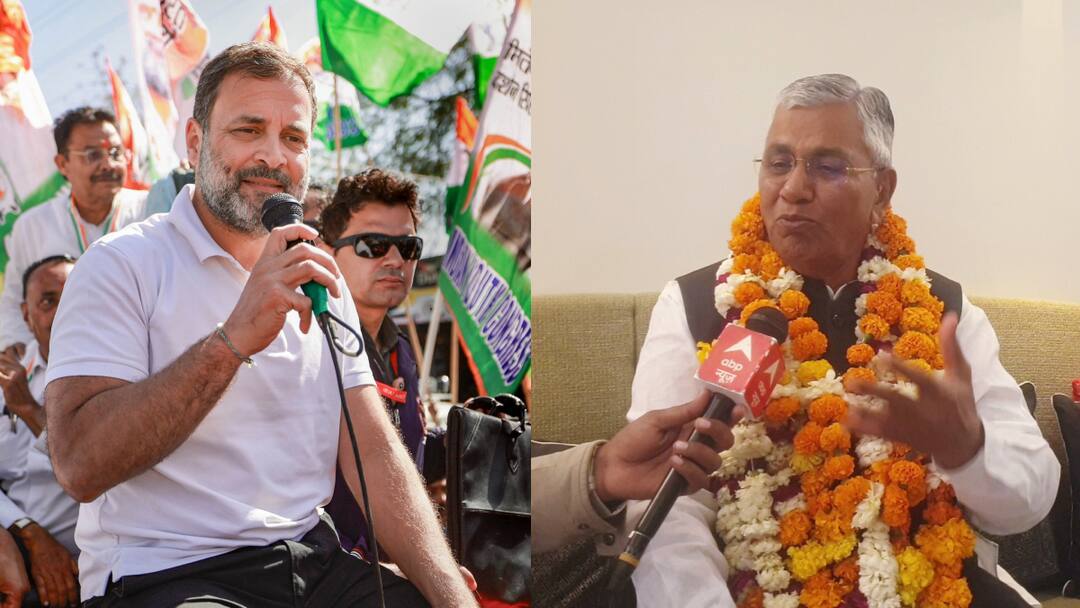 Rajasthan Lok Sabha Elections 2024 P P Chaudhary Target On Congress Leader Rahul Gandhi ann Lok Sabha Election 2024: पाली सांसद पीपी चौधरी का राहुल गांधी पर तंज, 'उनकी एक्टिविटी का बीजेपी को फायदा...'