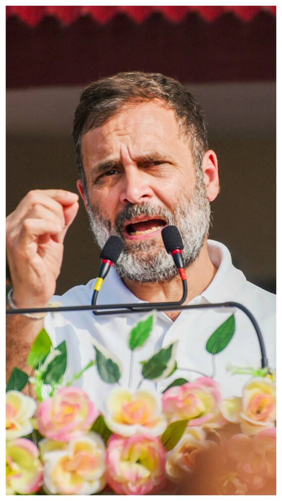 Parivar Or Not, Many Indian Politicians Go Stag: Quick Look