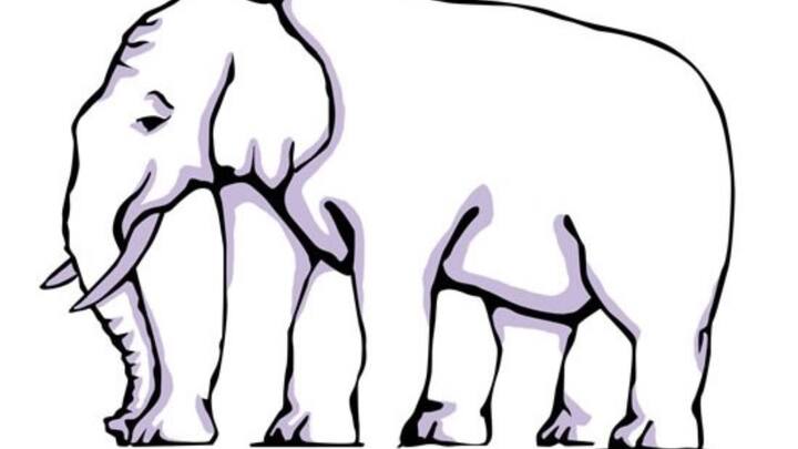 इस तस्वीर में हाथी के कुल पैरों की संख्या चार है.