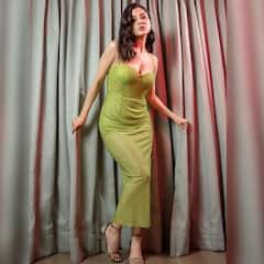 Shehnaaz Gill Slays In Shimmery Green Dress - See Pics