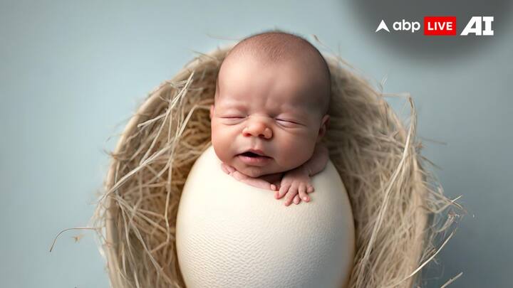 चलिए अब आपको बताते हैं कि आखिर मुर्गियां या कोई भी पक्षी अंडे ही क्यों देती है. आपको बता दें, इसके पीछे 'ओवुलेशन' का हाथ होता है. दरअसल, पक्षियों के शरीर में अंडे बनने की प्रक्रिया को 'ओवुलेशन'कहा जाता है.