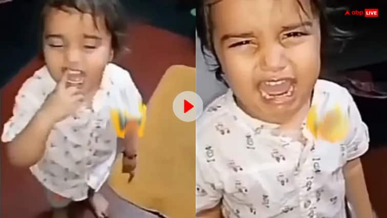 Funny video girl cried to get married infront of her father internet reacted Funny Video: 'मुझे शादी करना है...', पापा के मना करने के बावजूद जिद पर अड़ी बच्ची, देखें वीडियो