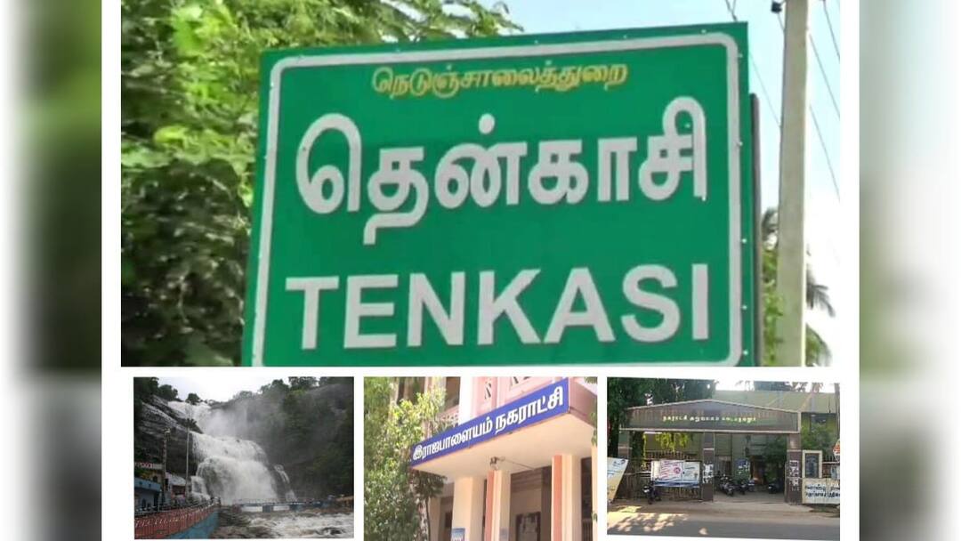 Tenkasi Lok Sabha Constituency: கொடுத்த வாக்குறுதியை நிறைவேற்றினாரா எம்பி தனுஷ் எம் குமார் ? - தென்காசி நாடாளுமன்ற தொகுதி ஓர் பார்வை Tenkasi Lok Sabha Constituency Has MP Dhanush M Kumar Fulfilled Election Promises Take A Glance at Tenkasi Parliamentary Constituency Tenkasi Lok Sabha Constituency: கொடுத்த வாக்குறுதியை நிறைவேற்றினாரா எம்பி தனுஷ் எம் குமார் ? - தென்காசி நாடாளுமன்ற தொகுதி ஓர் பார்வை