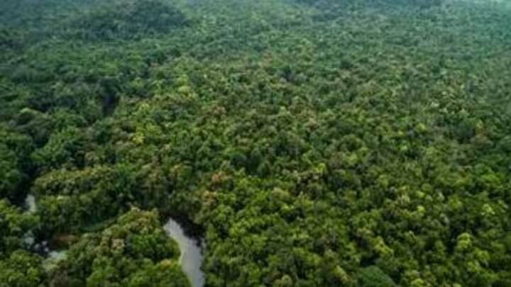 ગૂગલે એક નિવેદન જાહેર કરીને આ ઘટનાની પુષ્ટિ કરી છે અને કહ્યું છે કે આ રોડને ગૂગલ મેપ્સમાંથી હટાવી દેવામાં આવ્યો છે. ગૂગલે કહ્યું કે આ રાહતની વાત છે કે ફિલિપ અને માર્સેલ સુરક્ષિત છે.