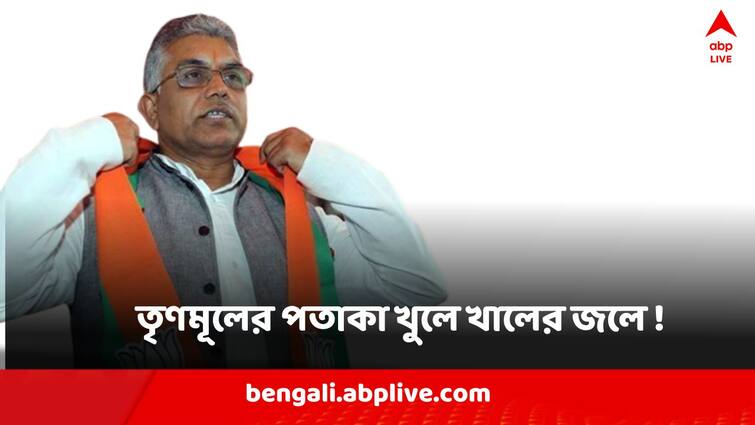 Paschim Medinipur Koshiari Bridge Made From Dilip Ghosh MP Fund, BJP Workers allegedly throws away TMC Flag Dilip Ghosh : কেশিয়াড়িতে ব্রিজে লাগানো তৃণমূলের পতাকা খুলে খালের জলে !  ' বাপের সম্পত্তি নাকি?  ' ঝাঁঝ দিলীপের