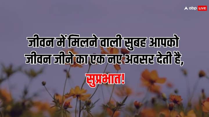 जीवन में मिलने वाली सुबह आपको जीवन जीने का एक नए अवसर देती है, सुप्रभात!
