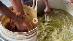 'ऐसे लोगों की वजह से ही...', गोलगप्पे बनाने का तरीका देख भड़के यूजर्स, वायरल हुआ Video