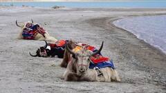 Ladakh Tour: ਗਰਮੀਆਂ ਦੀਆਂ ਛੁੱਟੀਆਂ ਦੌਰਾਨ ਲੇਹ-ਲਦਾਖ ਦੇ ਬਰਫੀਲੇ ਪਹਾੜਾਂ ਦਾ ਲਓ ਅਨੰਦ, ਕਰਨਾ ਪਵੇਗਾ ਇੰਨਾਂ ਖ਼ਰਚ