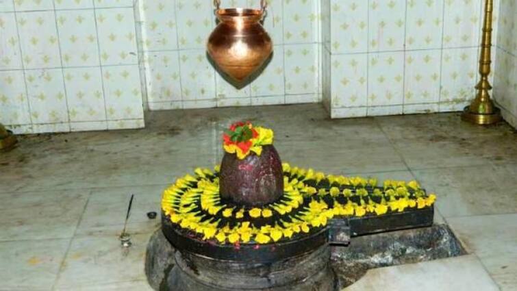 Mahashivratri Dharma 2024: why shiv linga is not worshiped with conch and ketaki flower and details Mahashivratri: શિવરાત્રીની પૂજા દરમિયાન શિવલિંગ પર આ 7 વસ્તુઓ ના ચઢાવવી, ખાસ કારણોથી કરાઇ છે દૂર