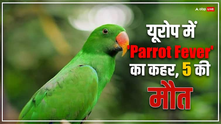 parrot fever spreading in europe know causes and symptoms in hindi Parrot Fever से सावधान ! इन देशों में तेजी से संक्रमित हो रहे लोग, अब तक 5 मौत