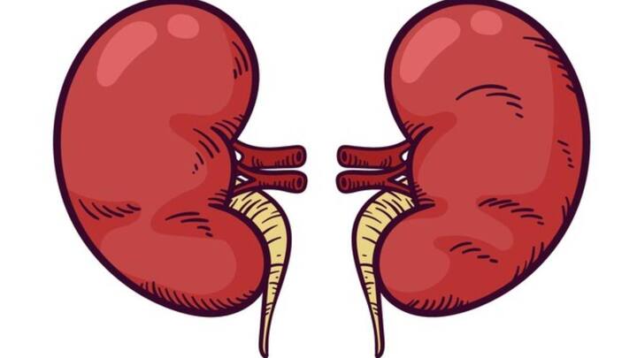 किडनी को स्वास्थ्य और मजबूत बनाने के लिए डाइट को बेहतर करने की जरूरत है. हेल्थ एक्सपर्ट के मुताबिक खाने वाली सफेद चीजों को डाइट से बिल्कुल हटा देनी चाहिए. क्योंकि यही किडनी में पथरी बनाती है.