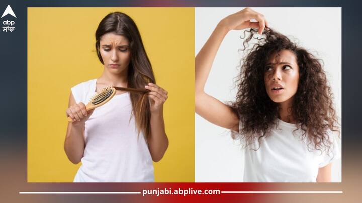 split ends: ਅਕਸਰ ਹੀ ਕੁੜੀਆਂ ਸਪਲਿਟ ਐਂਡਸ ਯਾਨੀਕਿ ਦੋ ਮੂੰਹੇ ਵਾਲਾਂ ਤੋਂ ਪ੍ਰੇਸ਼ਾਨ ਰਹਿੰਦੀਆਂ ਹਨ। ਅੱਜ ਅਸੀਂ ਇਸ ਆਰਟੀਕਲ ਰਾਹੀਂ ਸਪਲਿਟ ਐਂਡਸ ਤੋਂ ਛੁਟਕਾਰਾ ਪਾਉਣ ਲਈ ਕੁੱਝ ਘਰੇਲੂ ਨੁਸਖੇ ਦੱਸਾਂਗੇ। ਜਿਸ ਤੋਂ ਤੁਹਾਨੂੰ ਫਾਇਦਾ ਮਿਲੇਗਾ।