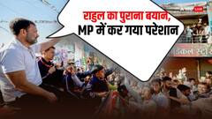 न्याय यात्रा में लगे 'मोदी-मोदी' के नारे, BJP वर्कर्स ने राहुल के हाथ में आलू थमाकर कहा- 'सोना बना दीजिए', देखें वीडियो